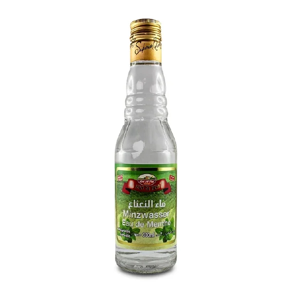 Bint Minzwasser 24x